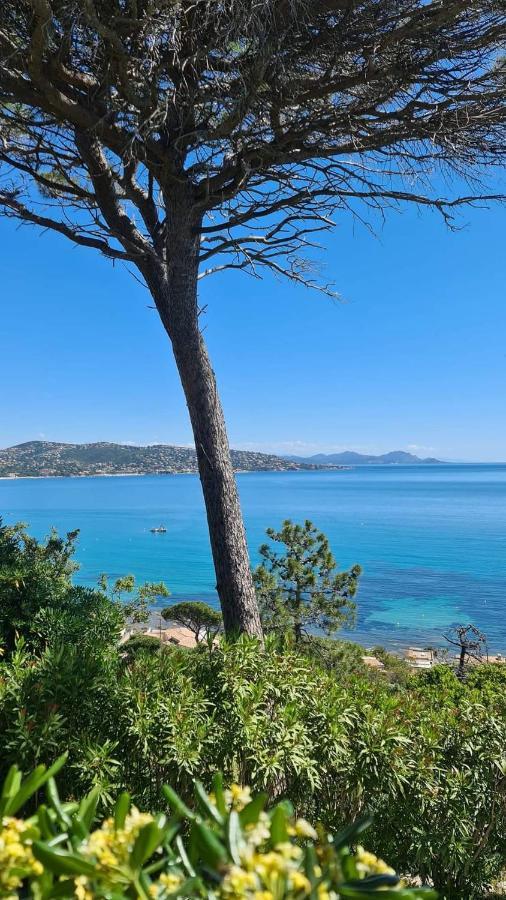 Apartamento Mi Casita Sainte-Maxime Exterior foto